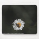Suche nach biene mousepads Fehler