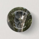 Suche nach koalabären buttons Wild lebende tiere