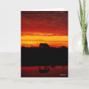 Suche nach arabischen karten Sonnenuntergang
