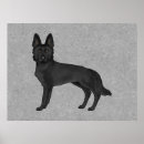 Suche nach deutscher schäferhund poster Gsd