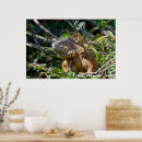Suche nach lizard poster Leguan