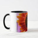 Suche nach fuchsien tassen Orange