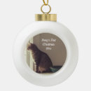 Suche nach welpe ornamente Kitty