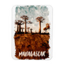 Suche nach baobab magnete Madagaskar