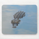 Suche nach sumpfgebiete mousepads Alligator