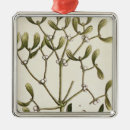 Suche nach mistelzweig ornamente Beere