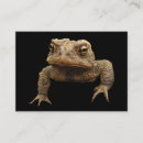 Suche nach amphibien visitenkarten Tier