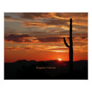 Suche nach saguaro cactus poster Sonnenuntergang