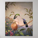 Suche nach vintage kolibris poster Natur