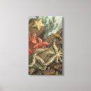 Suche nach algen leinwandbilder Seetang