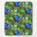 Suche nach blauer schmetterling mousepads Natur