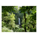 Suche nach tropical rainforest poster Regenwald