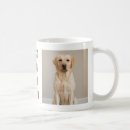 Suche nach lustige labrador tassen Für ihn