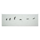 Suche nach adler im flug poster Fliegen