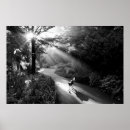 Suche nach schwarze sonne poster Tier
