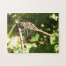 Suche nach dragonfly puzzle Flügel