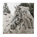 Suche nach schönes pferd fliesen Pferdegeschenke