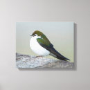 Suche nach weich leinwandbilder Vogel