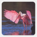 Suche nach sanibel aufkleber Ding darling