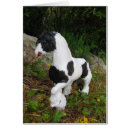 Suche nach roma postkarten Vanner