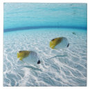 Suche nach meer fliesen Natur