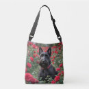 Suche nach für einen schotten taschen Hund
