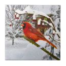 Suche nach schnee fliesen Baum