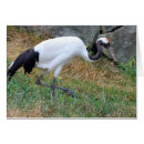 Suche nach japanische symbole postkarten Glück