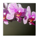 Suche nach orchideen blumen fliesen Rosa
