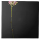 Suche nach stämme fliesen Studioschuß