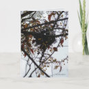 Suche nach nest karten Herbst