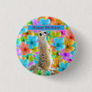 Suche nach meerkat buttons Suricata