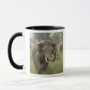 Suche nach asiatischer elefant tassen Wiese