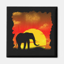 Suche nach elefant magnete Sonnenuntergang