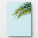 Suche nach palme fotoplatten Küstenlinie