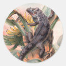 Suche nach leguane aufkleber Regenwald