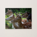 Suche nach säugetier puzzle Tierwelt