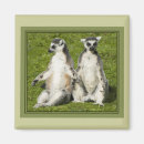 Suche nach lemur magnet magnete Niedlich