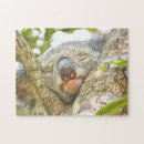 Suche nach koala puzzle Niedlich