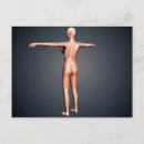 Suche nach zervikal poster Physiologie