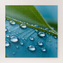 Suche nach regentropfen puzzle Grün