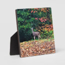 Suche nach hirsch fotoplatten Wald