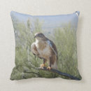 Suche nach falken kissen Raubvogel