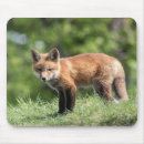 Suche nach fleisch fressendes tier mousepads Wild
