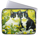 Suche nach hallo laptop schutzhüllen Katzen