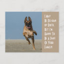 Suche nach belgische postkarten Hund