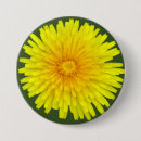 Suche nach löwenzahn buttons Grün