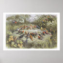 Suche nach doyle poster 1824 83