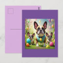 Suche nach bunte eier postkarten Ostereier