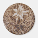 Suche nach edelweiss magnete Alpen